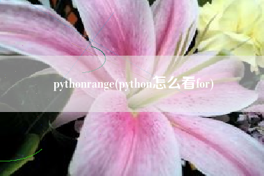 pythonrange(python怎么看for)