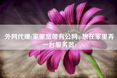 外网代理(家里宽带有公网ip想在家里弄一台服务器)