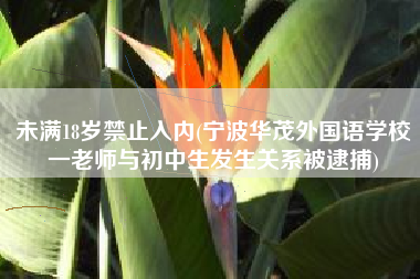 未满18岁禁止入内(宁波华茂外国语学校一老师与初中生发生关系被逮捕)