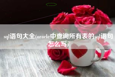 sql语句大全(oracle中查询所有表的sql语句怎么写)
