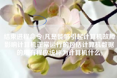 结束进程命令(凡是能够引起计算机故障影响计算机正常运行的包括计算机数据的所有程序统称为计算机什么)