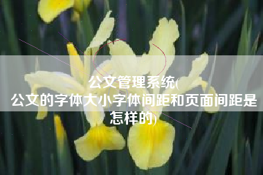 公文管理系统(
公文的字体大小字体间距和页面间距是怎样的) 公文管理系统(
公文的字体大小字体间距和页面间距是怎样的)