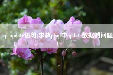 sql update语句(求教plsql中update数据的问题)