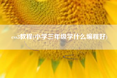 详细阅读:css3教程(小学三年级学什么编程好) css3教程(小学三年级学什么编程好)