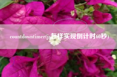 countdowntimer(js怎样实现倒计时60秒)