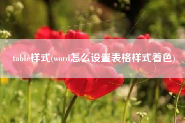 table样式(word怎么设置表格样式着色)