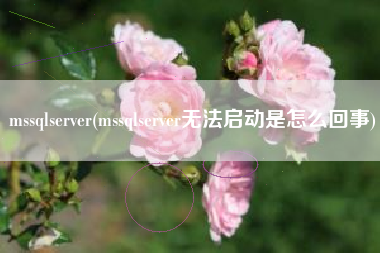 mssqlserver(mssqlserver无法启动是怎么回事)
