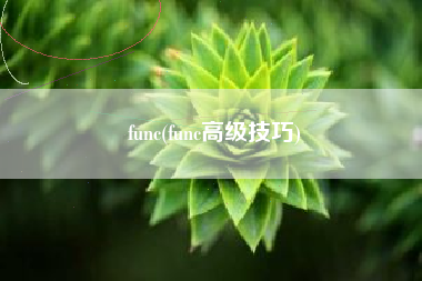 func(func高级技巧)