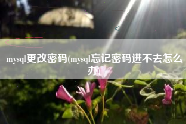 mysql更改密码(mysql忘记密码进不去怎么办)