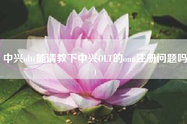中兴olt(能请教下中兴OLT的onu注册问题吗)