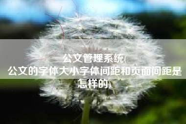 公文管理系统(
公文的字体大小字体间距和页面间距是怎样的) 公文管理系统(
公文的字体大小字体间距和页面间距是怎样的)