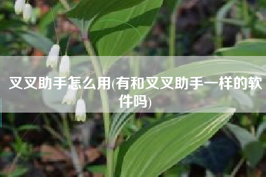 叉叉助手怎么用(有和叉叉助手一样的软件吗)