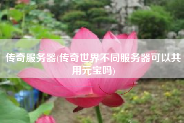 传奇服务器(传奇世界不同服务器可以共用元宝吗)