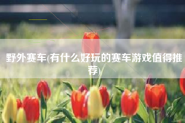 野外赛车(有什么好玩的赛车游戏值得推荐)