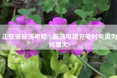 正弦波振荡电路(lc振荡电路充电时电流为何增大)