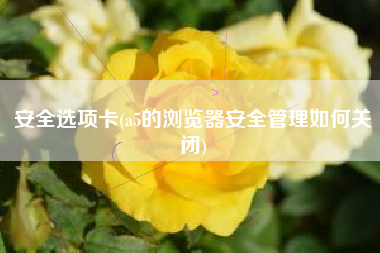 安全选项卡(a5的浏览器安全管理如何关闭)