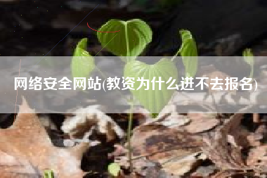 网络安全网站(教资为什么进不去报名)