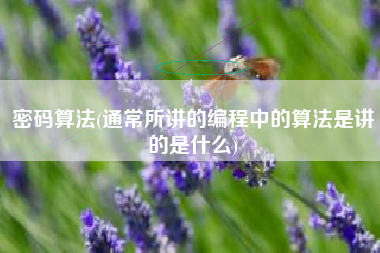 密码算法(通常所讲的编程中的算法是讲的是什么)