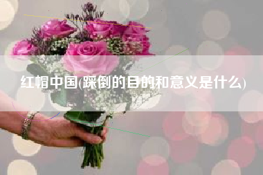 详细阅读:红帽中国(踩倒的目的和意义是什么) 红帽中国(踩倒的目的和意义是什么)