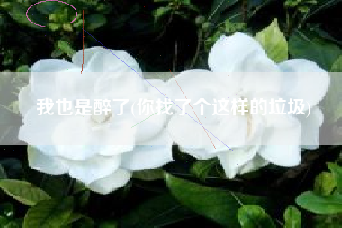 我也是醉了(你找了个这样的垃圾)