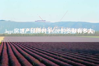 bgp(房地产经济对于GDP的贡献有多大)