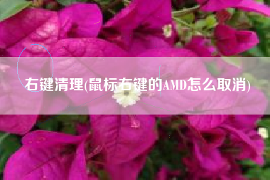 右键清理(鼠标右键的AMD怎么取消)