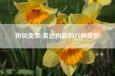 协议类型(表达内容的八种类型)