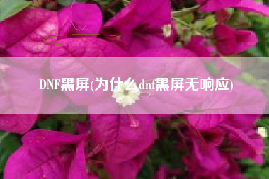 DNF黑屏(为什么dnf黑屏无响应)