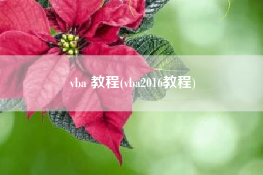 vba 教程(vba2016教程)