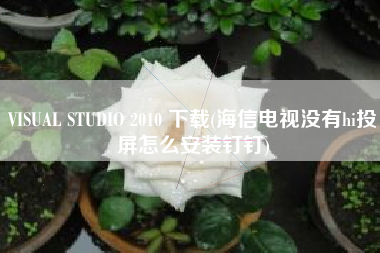 VISUAL STUDIO 2010 下载(海信电视没有hi投屏怎么安装钉钉)