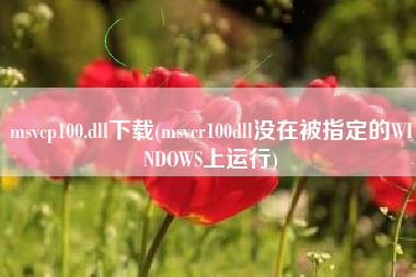 msvcp100.dll下载(msvcr100dll没在被指定的WINDOWS上运行)