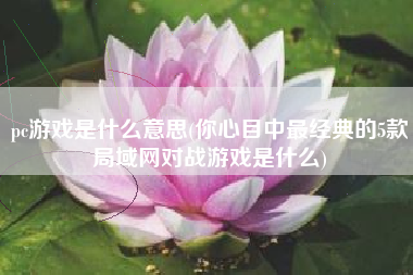 pc游戏是什么意思(你心目中最经典的5款局域网对战游戏是什么)