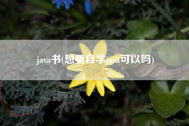 java书(想要自学java可以吗)