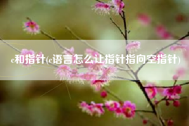 c和指针(c语言怎么让指针指向空指针)