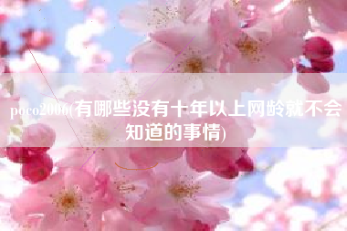 poco2006(有哪些没有十年以上网龄就不会知道的事情)