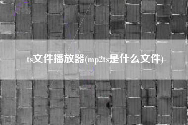 ts文件播放器(mp2ts是什么文件)