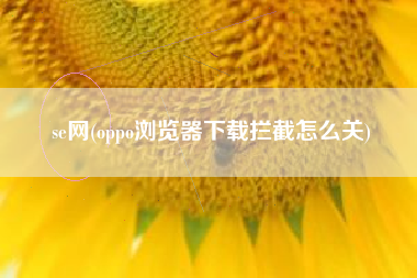 se网(oppo浏览器下载拦截怎么关)