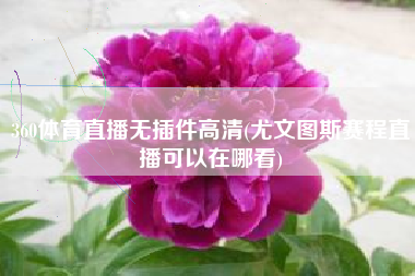 360体育直播无插件高清(尤文图斯赛程直播可以在哪看)