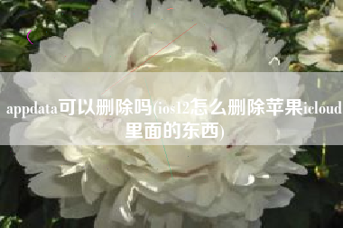 appdata可以删除吗(ios12怎么删除苹果icloud里面的东西)
