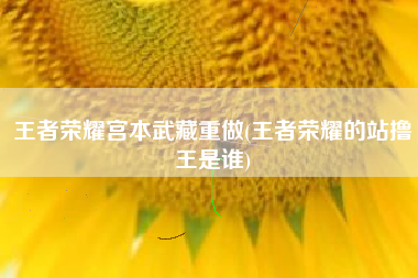 王者荣耀宫本武藏重做(王者荣耀的站撸王是谁)