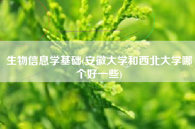 生物信息学基础(安徽大学和西北大学哪个好一些)