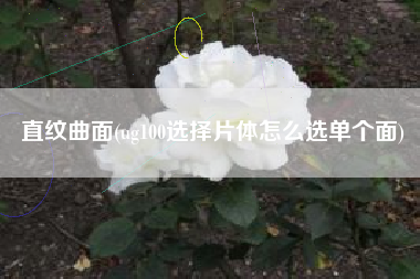 直纹曲面(ug100选择片体怎么选单个面)
