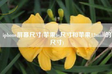 iphone屏幕尺寸(苹果6s尺寸和苹果12mini的尺寸)