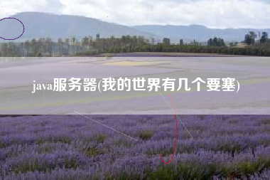 java服务器(我的世界有几个要塞)