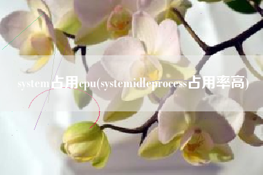 system占用cpu(systemidleprocess占用率高)