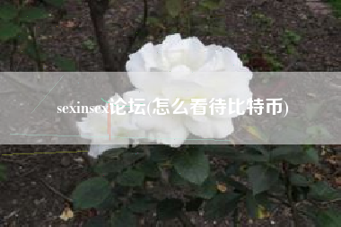 sexinsex论坛(怎么看待比特币)