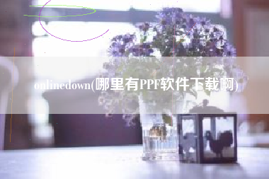 onlinedown(哪里有PPF软件下载啊)
