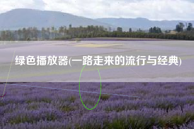 绿色播放器(一路走来的流行与经典)