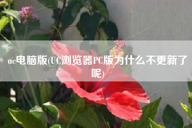 uc电脑版(UC浏览器PC版为什么不更新了呢)