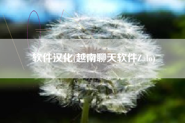 软件汉化(越南聊天软件Zalo)